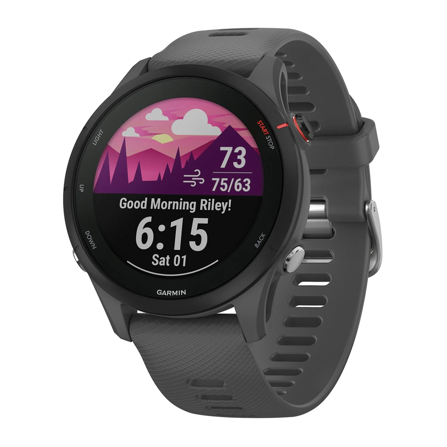 Garmin Forerunner 255 Running Smartwatch (Slate Gray), 010-02641-00